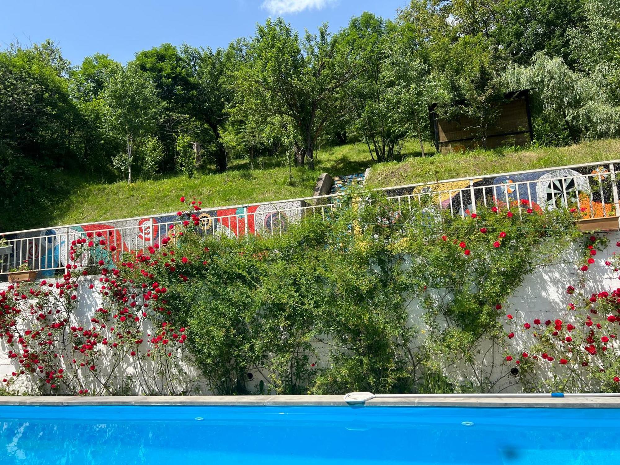 Dilijan Duplexヴィラ エクステリア 写真