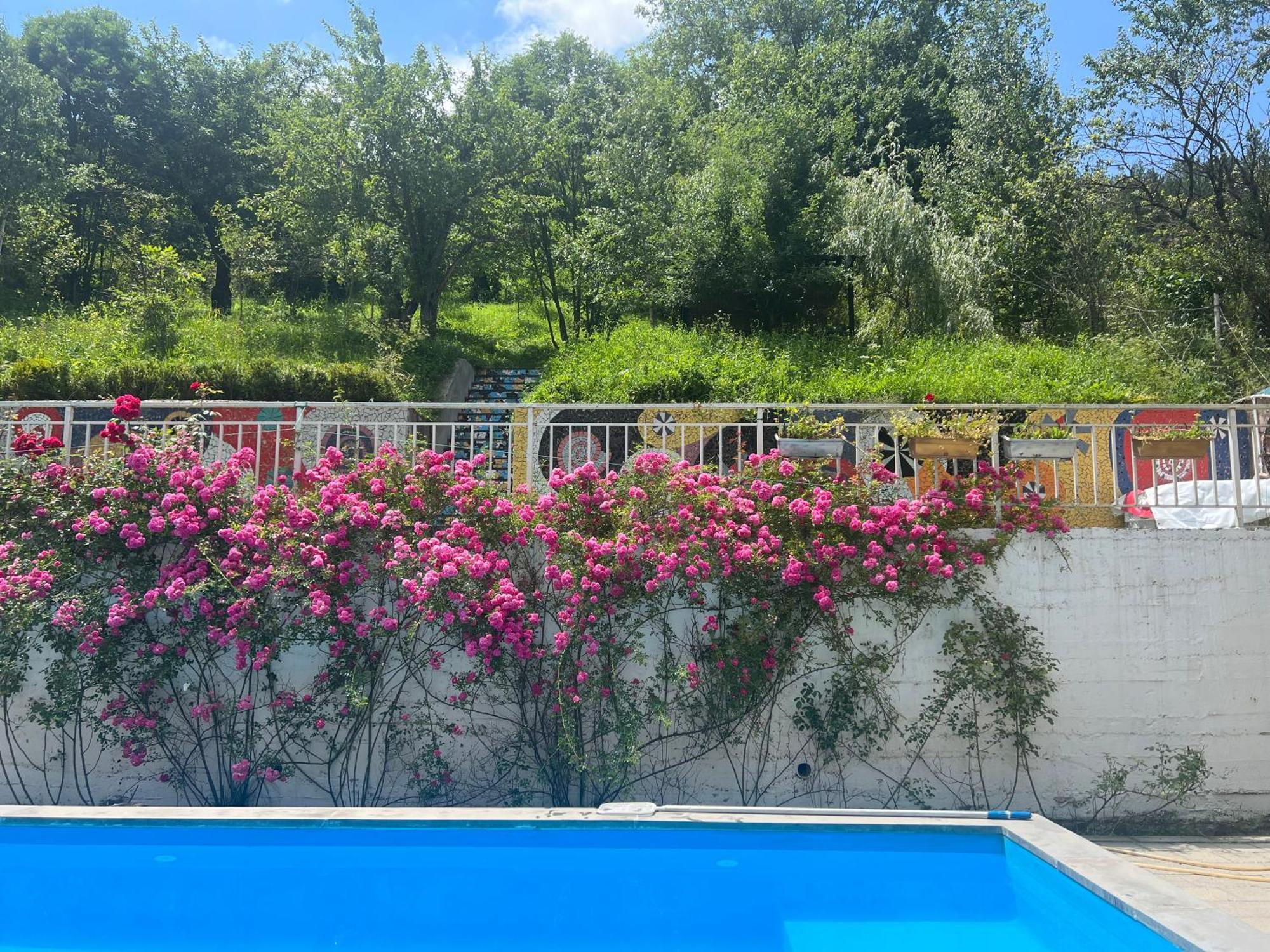 Dilijan Duplexヴィラ エクステリア 写真