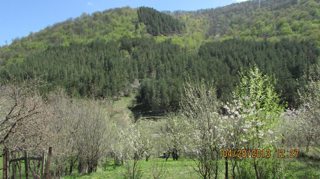Dilijan Duplexヴィラ エクステリア 写真