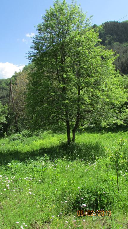 Dilijan Duplexヴィラ エクステリア 写真