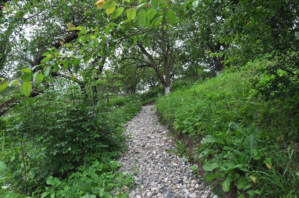 Dilijan Duplexヴィラ エクステリア 写真