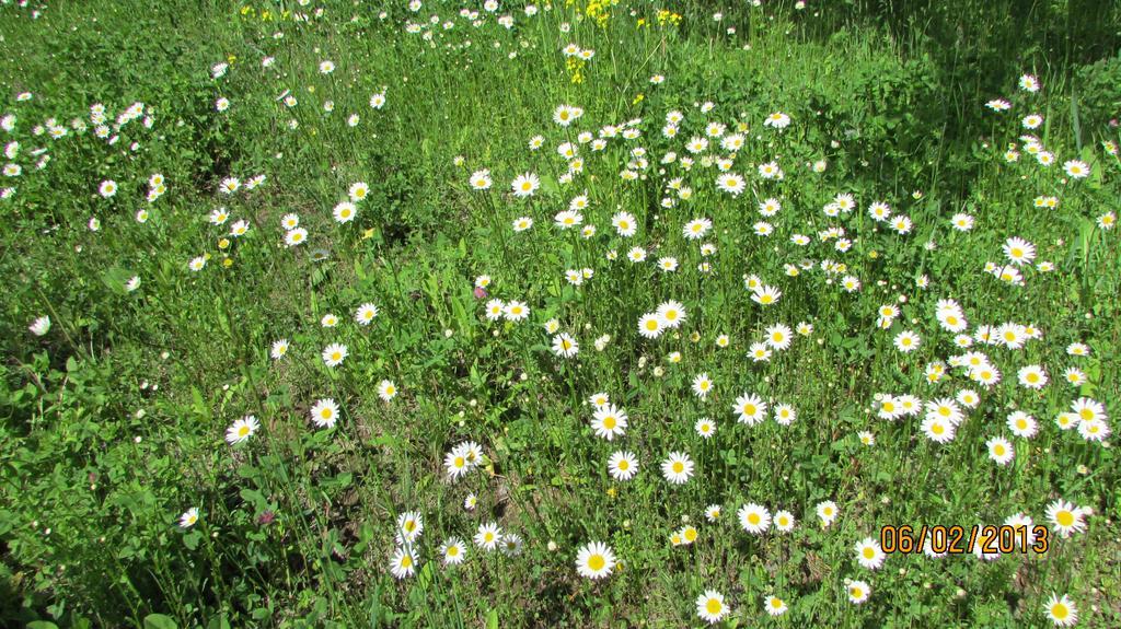 Dilijan Duplexヴィラ エクステリア 写真